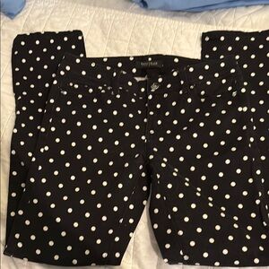 White House Black Market Black Pants with White Polka Dots